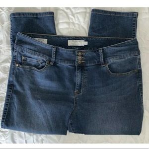 Torrid Plus Women’s Jegging Crop Denim Size 20
